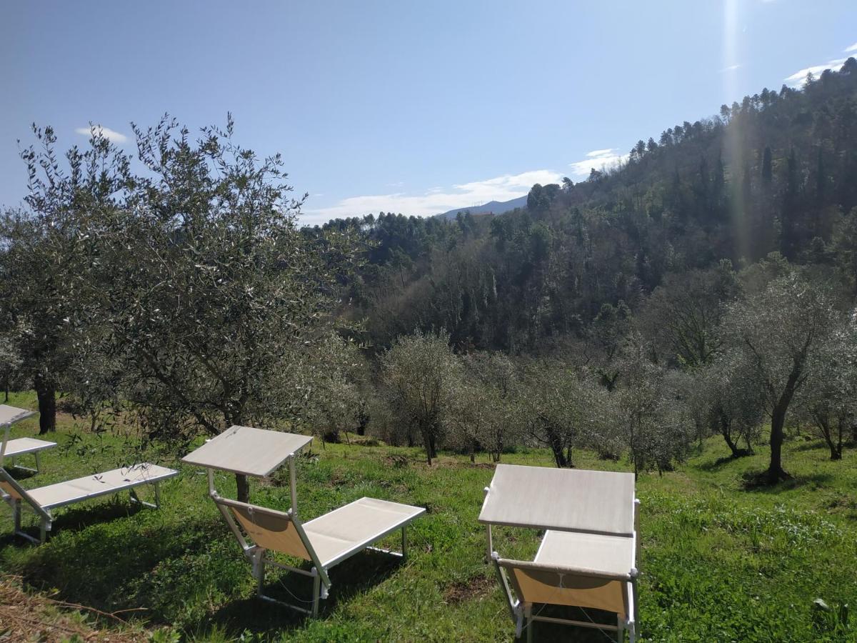 Il Silenzio Lejlighed Lucca Eksteriør billede